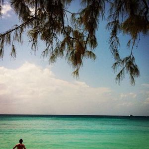 Meet your Posher, Parp